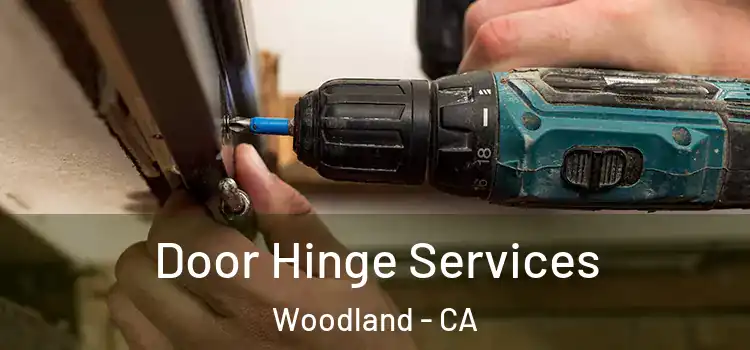  Door Hinge Services Woodland - CA
