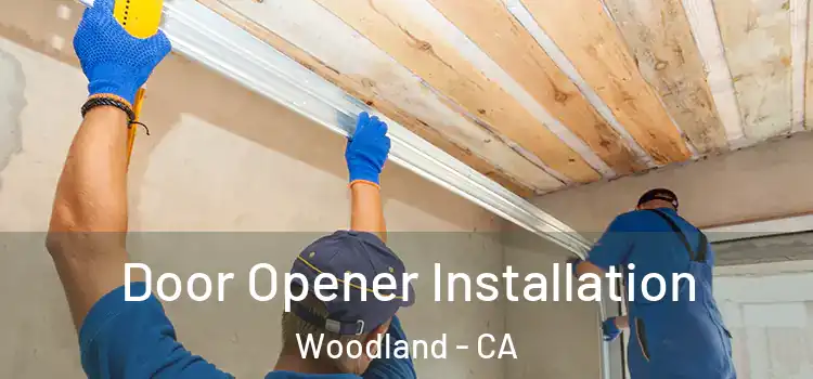  Door Opener Installation Woodland - CA