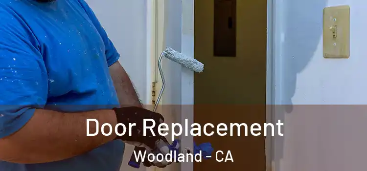  Door Replacement Woodland - CA