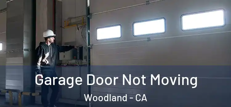  Garage Door Not Moving Woodland - CA