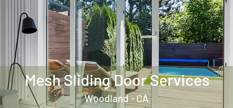 Mesh Sliding Door Services Woodland - CA